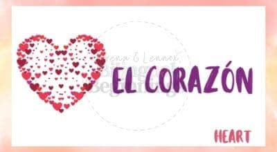 Valentine's Day Printables in Spanish- el corázon flashcard