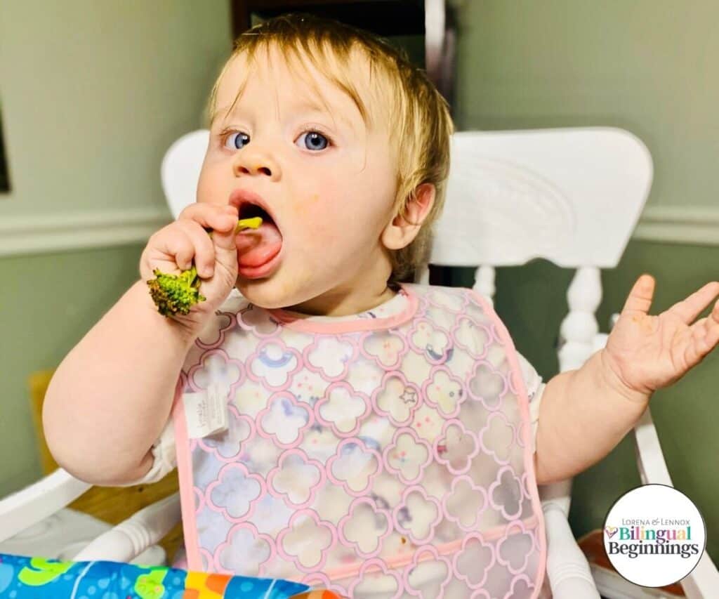 Que es baby led weaning