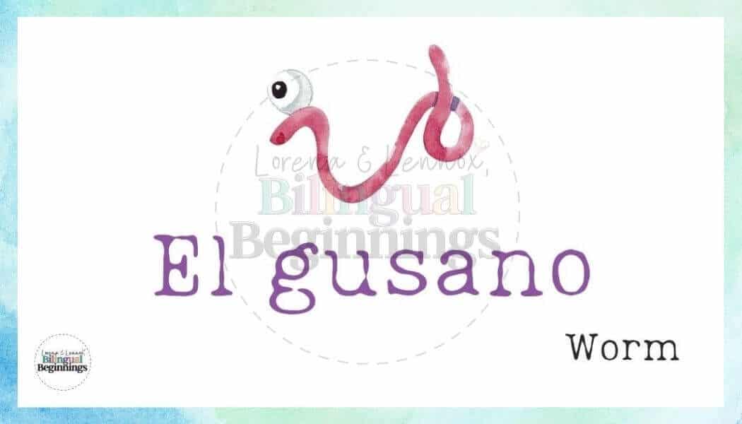 20 Free Printable Spring Vocabulary Flashcards in Spanish- El gusano