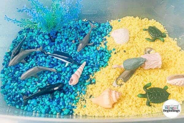 A tutorial on making a beach-themed and ocean-themed sensory bin activity for toddlers and preschoolers.