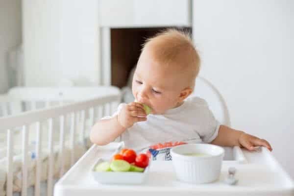 Four Benefits of Baby Led Weaning