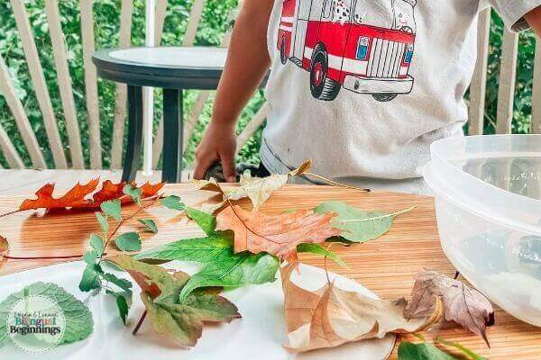 Fine Motor Leaf Activity for Preschoolers
