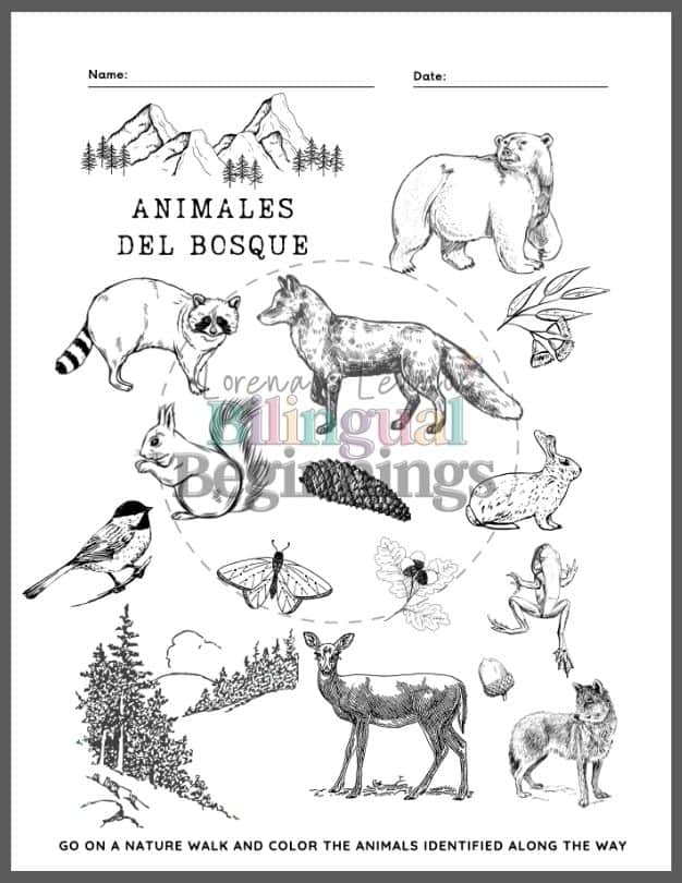 Animales del bosque- Forest Animal Coloring Activity Worksheet in Spanish