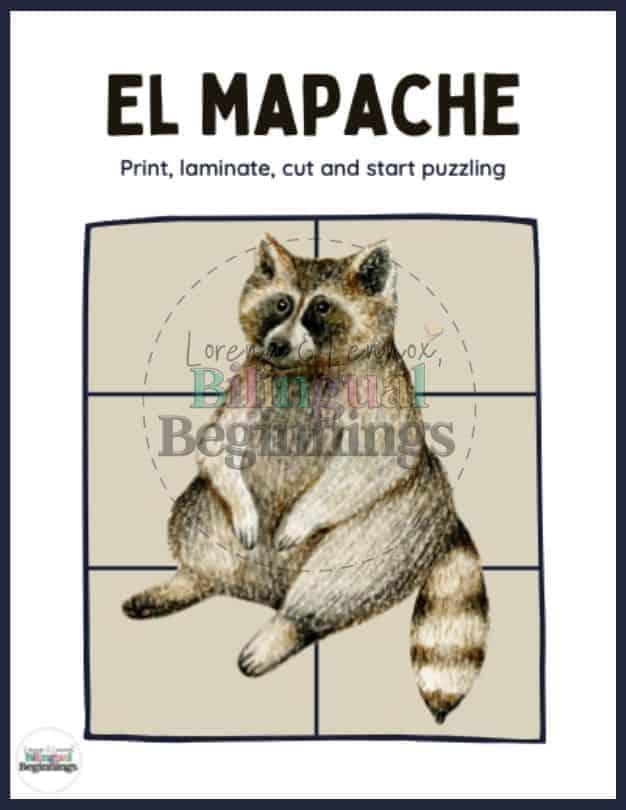 Forest Animal Puzzle in Spanish- El Mapache