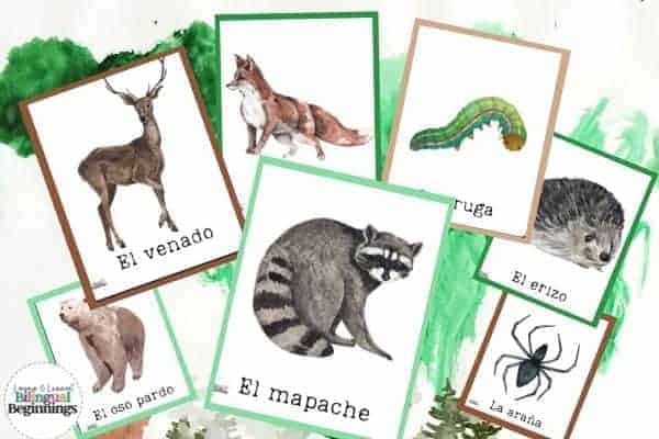Forest Animal Printable PDF Flash Cards in Spanish for Preschoolers