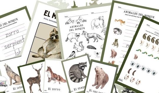 Forest Animal Printable PDF Worksheet Activities in Spanish for Preschoolers