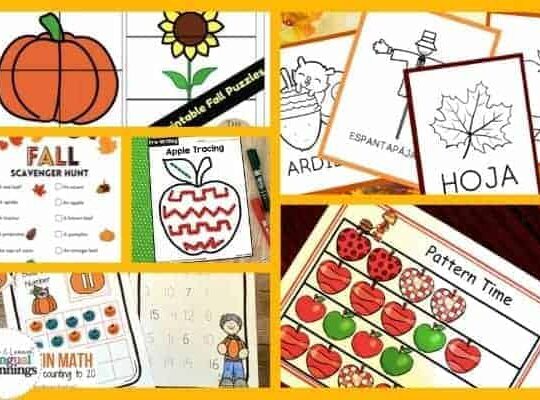 A round up of 30+ fall printable activities for preschoolers. These printables cover topics such as math, science, writing, Spanish and more.