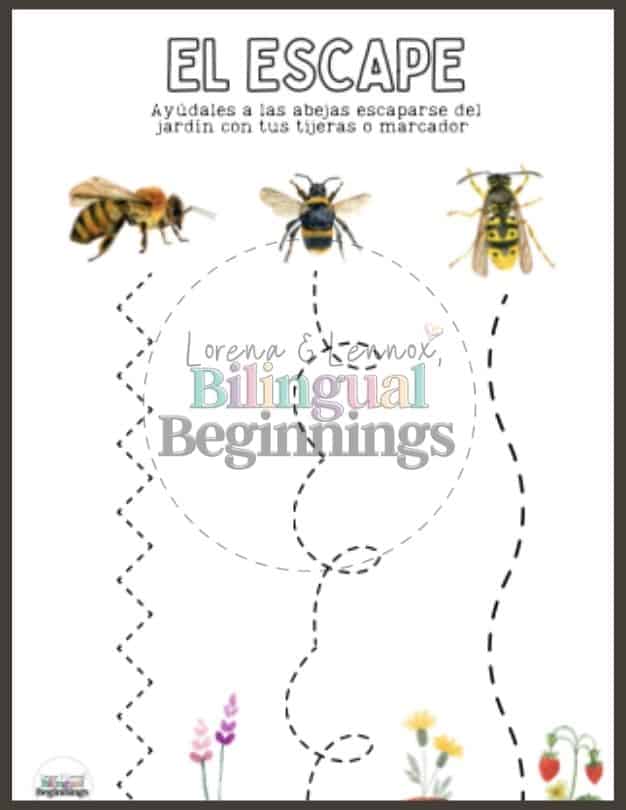 An insect printable kit in Spanish that Includes 9 printable PDF pages about insects to use with your preschooler in the classroom or at home.With scissors, or if the page is laminated, a dry-erase marker, have your child color cut/trace the lines to help the bees escape from the garden.