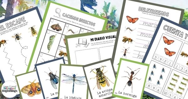 An insect printable kit in Spanish that Includes 9 printable PDF pages about insects to use with your preschooler in the classroom or at home.