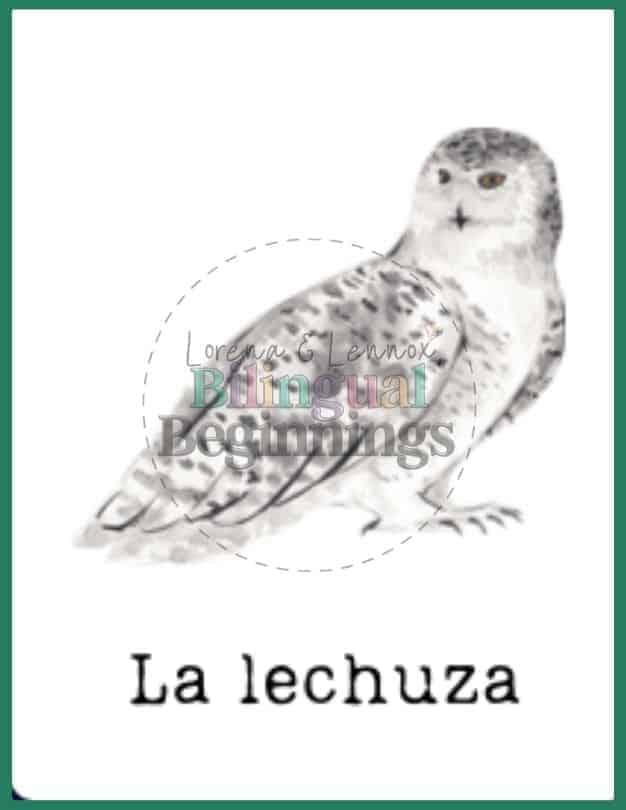 Winter Bingo Printable in Spanish - La lechuza