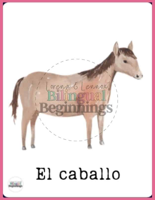 Farm Animal Flashcard Printable in Spanish- El cabal