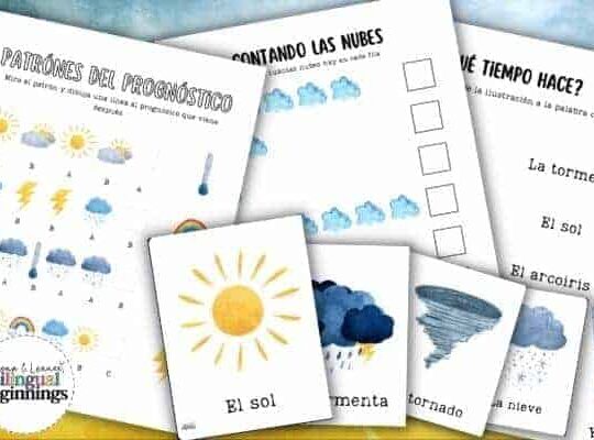 Use these engaging printable Spanish weather activities and flashcards in your Spanish classroom or bilingual homeschool today!