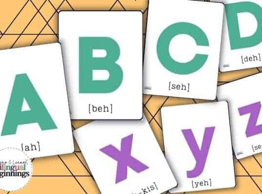 Free Printable PDF ABC Flash Cards in Spanish with pronunciation assistance.