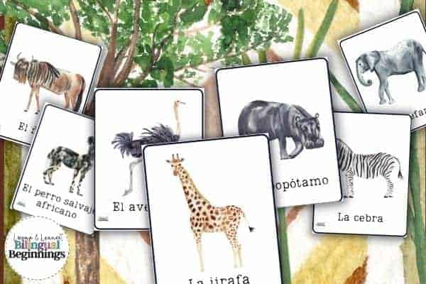 Zoo Animal Printable Flashcards in Spanish