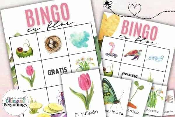 Spring Bingo in Spanish