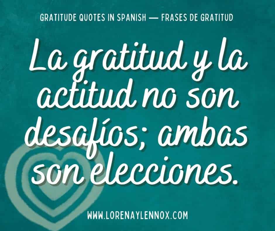 La gratitud y la actitud no son desafíos; ambas son elecciones.