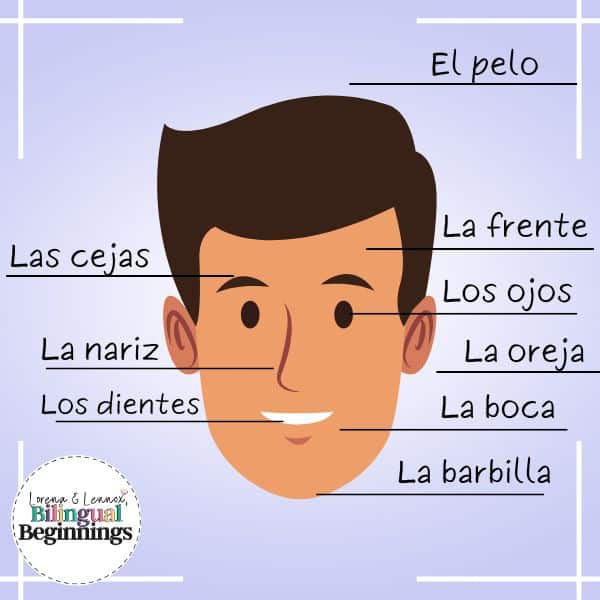 Body Parts in Spanish: A Comprehensive Guide + Learning Materials ...