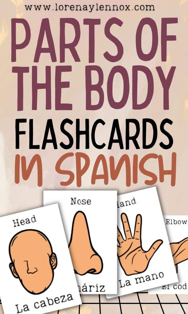 Parts of the body flashcards in Spanish