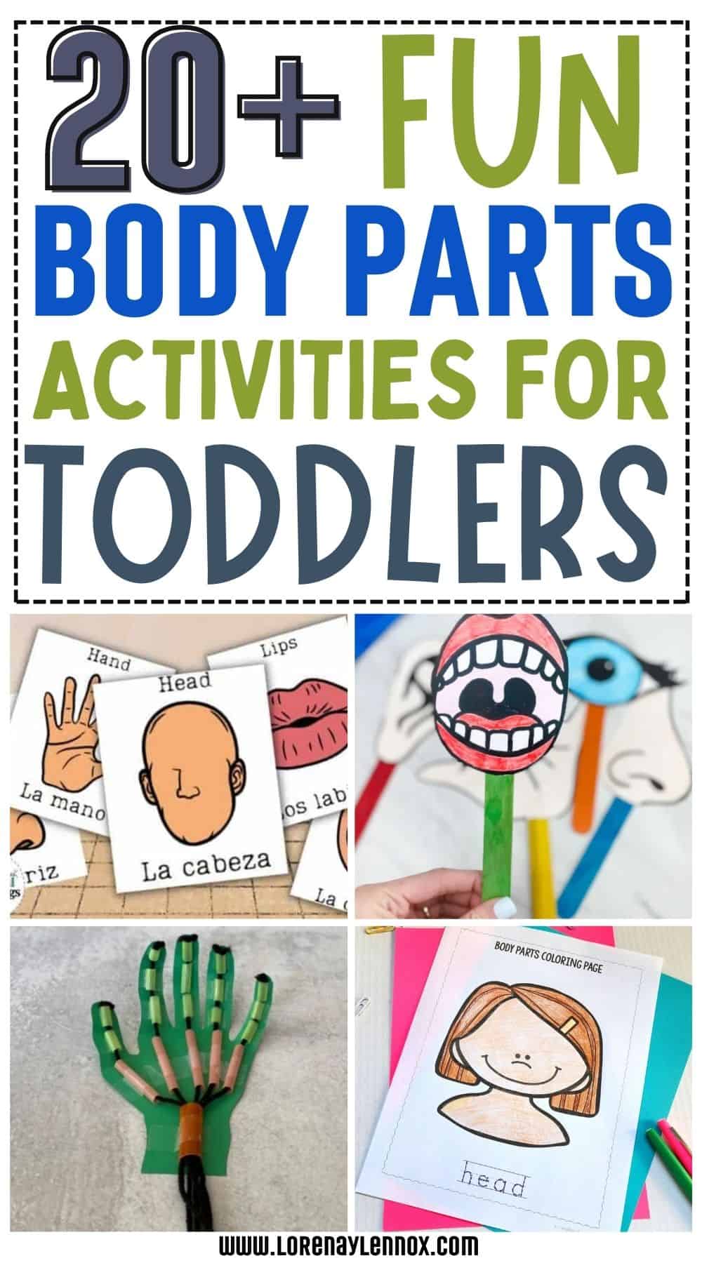20 + Body Part Activities for Toddlers and Preschoolers