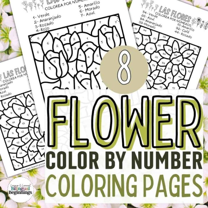 8 Flower Color by Number Coloring Pages for Kids