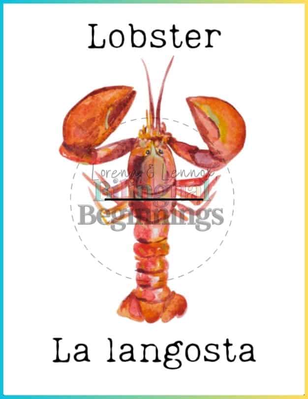 Printable Bilingual Ocean Flashcards in Spanish and English - Lobster