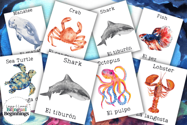 Printable Bilingual Ocean Flashcards in Spanish and English