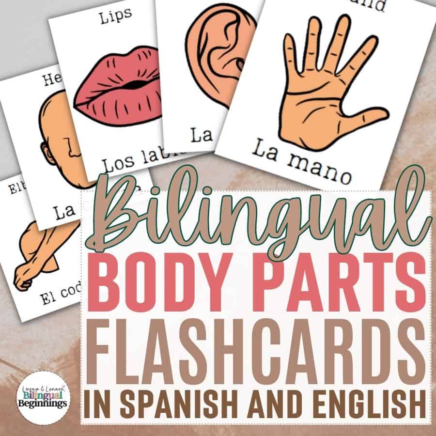Bilingual Body Parts Flashcards Printable in Spanish and English