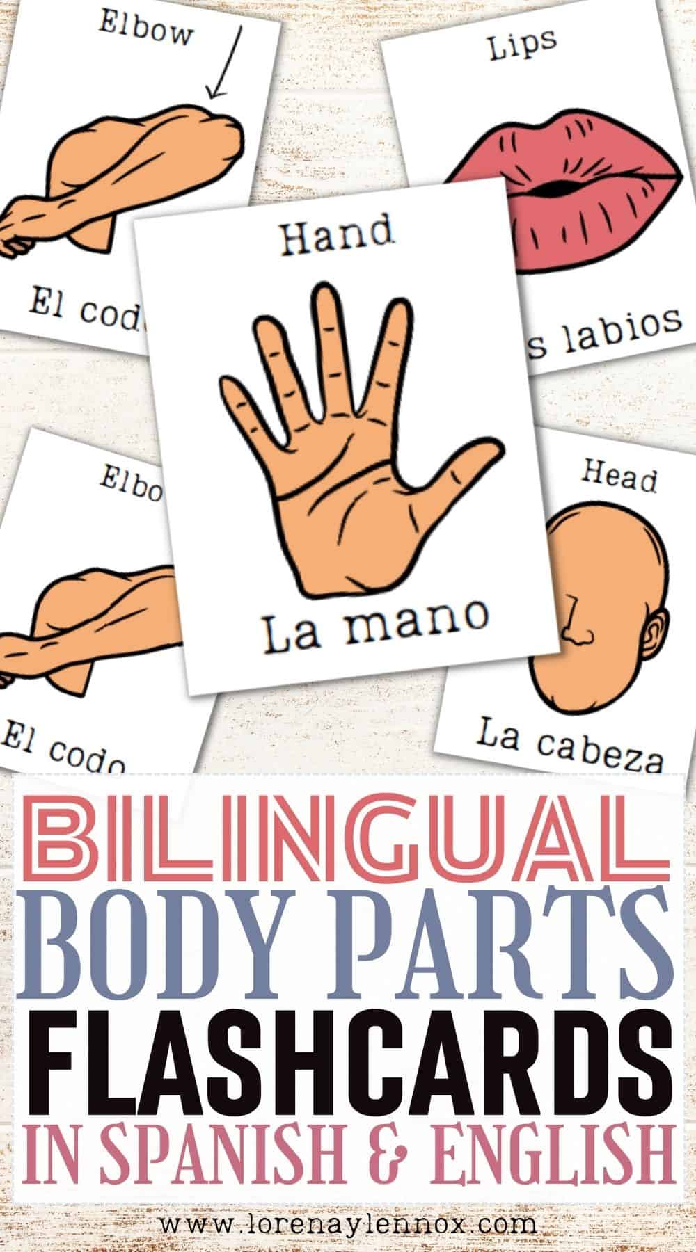 Bilingual Body Parts Flashcards Printable in Spanish and English