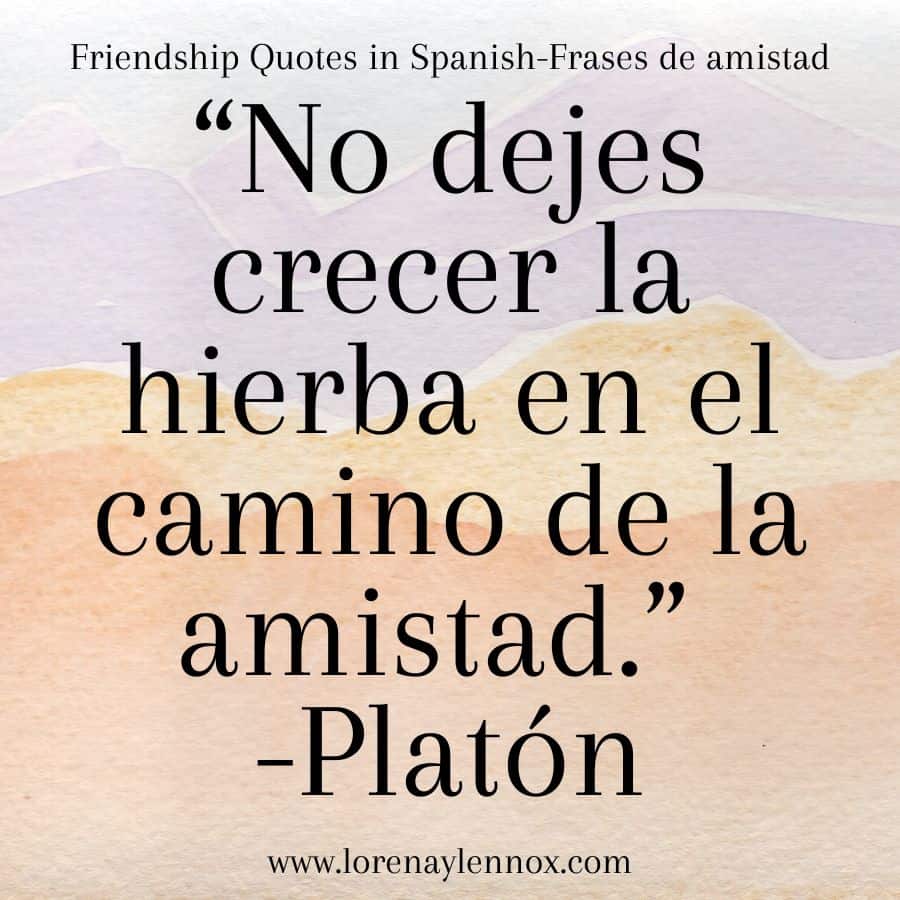 Friendship quotes in Spanish: "No dejes crecer la hierba en el camino de la amistad."