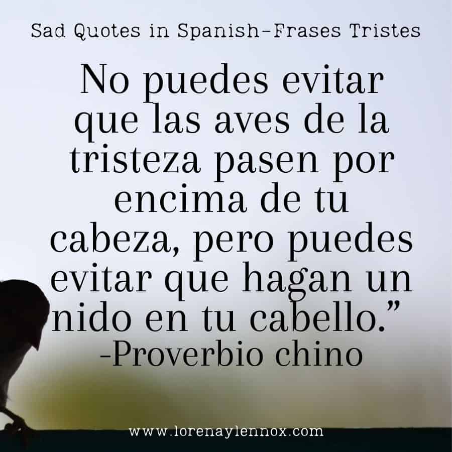 No puedes evitar que las aves de la tristeza pasen por encima de tu cabeza, pero puedes evitar que hagan un nido en tu cabello.” Proverbio chino "You cannot prevent the birds of sadness from flying over your head, but you can prevent them from nesting in your hair." - Chinese proverb