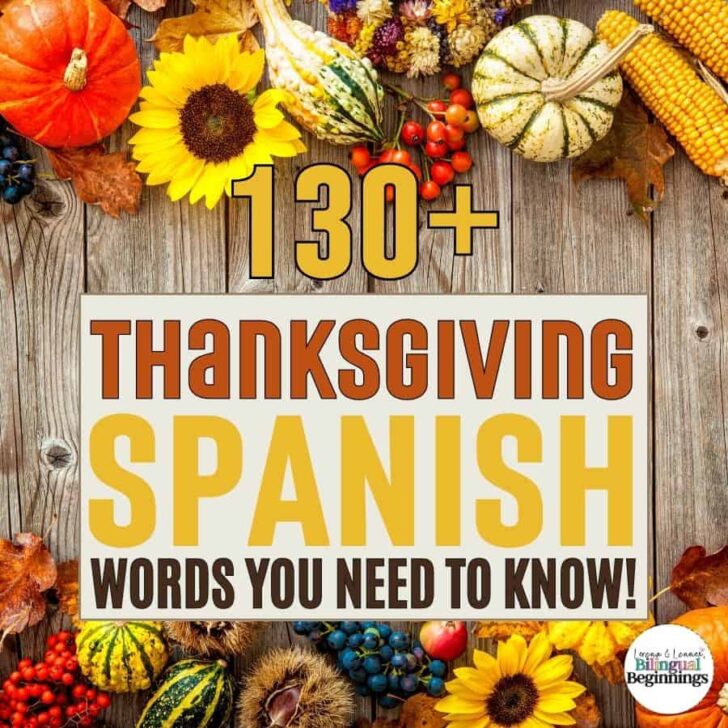 Looking to add some cultural flair to your Thanksgiving celebrations? Check out our list of 130+ Thanksgiving Spanish words! From traditional dishes to festive decorations and family activities, these words will help you incorporate Spanish language and culture into your holiday festivities. Whether you're fluent in Spanish or just starting to learn, this list is a great resource for anyone looking to explore the fun of Thanksgiving with a cultural twist.