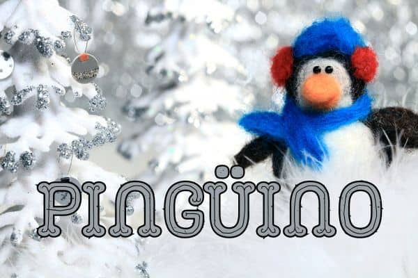 Winter words in Spanish - Pingüino - Penguin