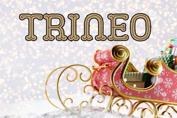 Christmas Spanish Words: trineo