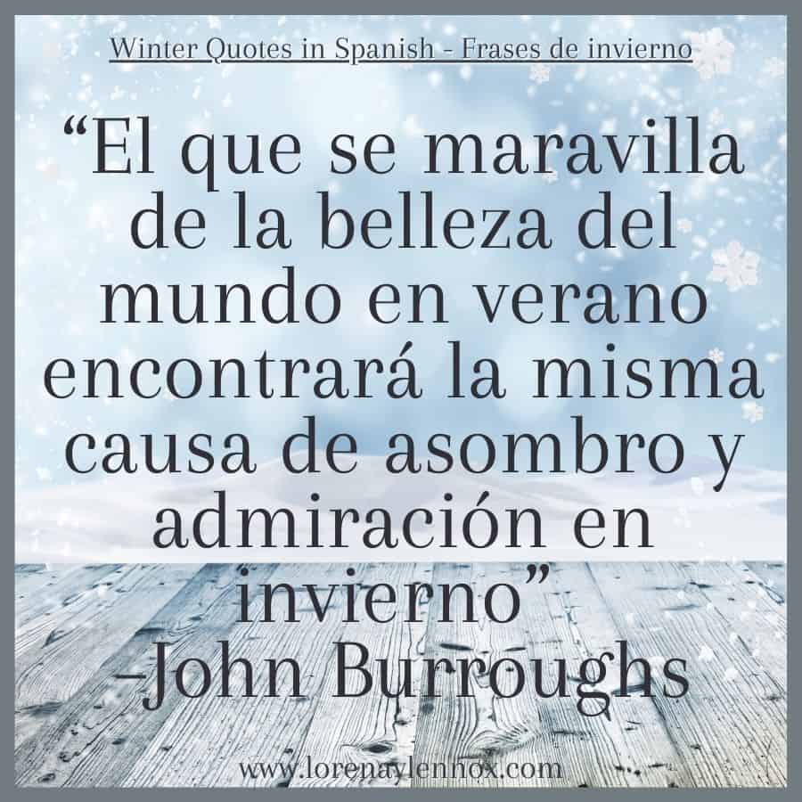 Winter Quotes in Spanish: “El que se maravilla de la belleza del mundo en verano encontrará la misma causa de asombro y admiración en invierno” –John Burroughs