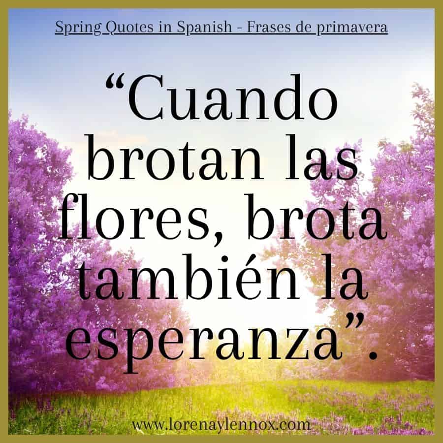 Spring Quotes in Spanish | Frases sobre la primavera “Cuando brotan las flores, brota también la esperanza”. "When flowers bloom, hope also blossoms."