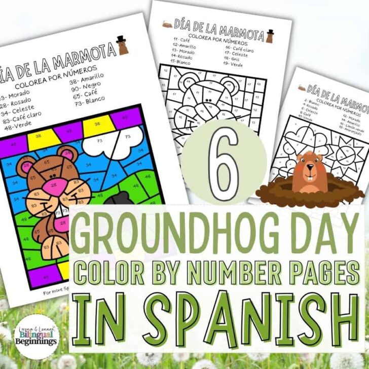 Discover bilingual fun with our Groundhog Day Color by Number in Spanish! 🎨🔢 Explore numbers in Spanish while learning more about Groundhog Day. Engage in a colorful learning adventure for kids! 🌈 #SpanishLearning #GroundhogDay #BilingualKids